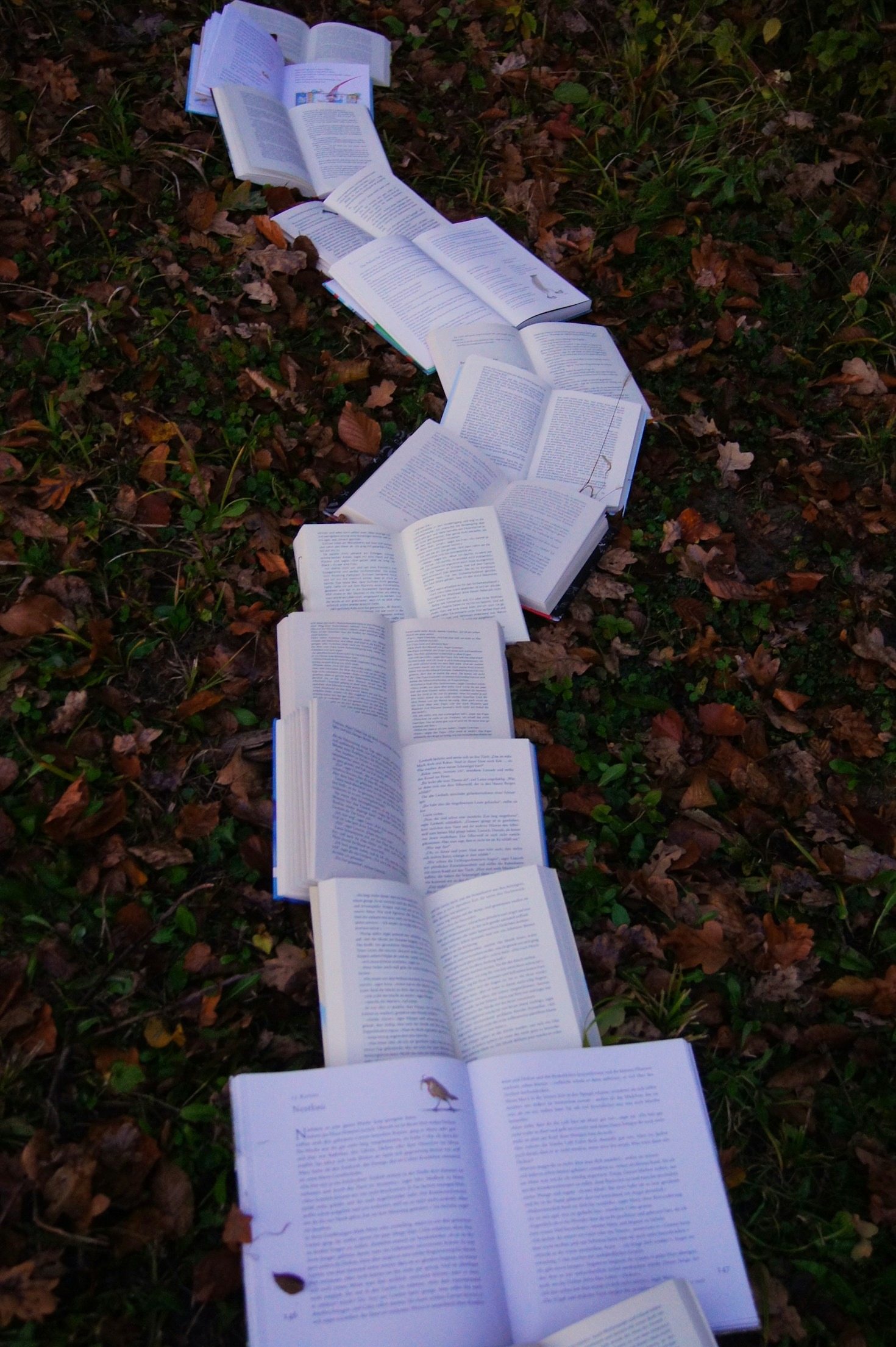 5 Must-Read Novels for Fall 2023