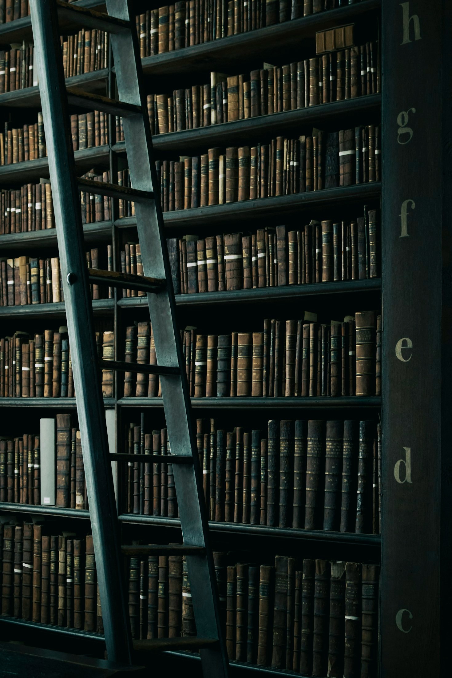 The Art of Book Collecting: Tips and Tricks